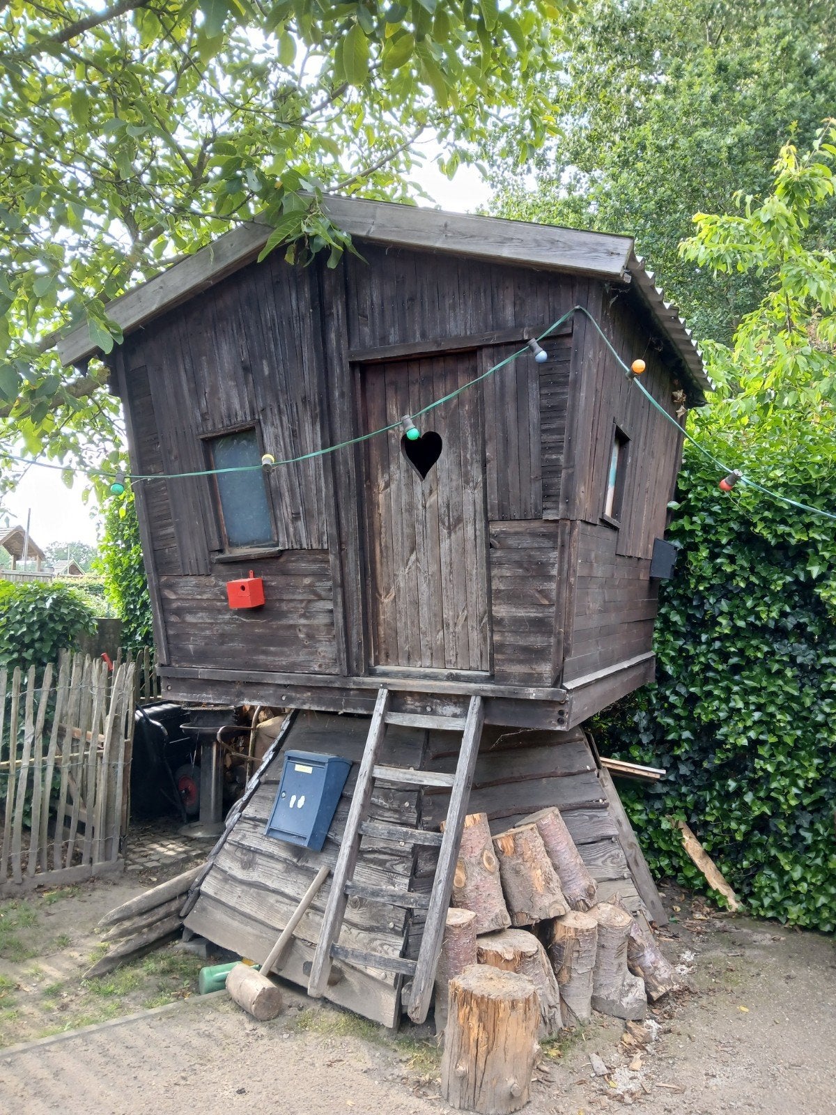 BOOMHUT, Tuin en Terras, Ophalen