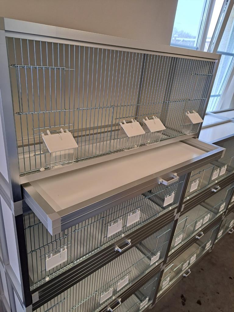 4 KOOIEN - KWEEKKOOIEN : 84 X 42 X 42 . ( NIEUW ), Dieren en Toebehoren, Ophalen, Nieuw, Aluminium