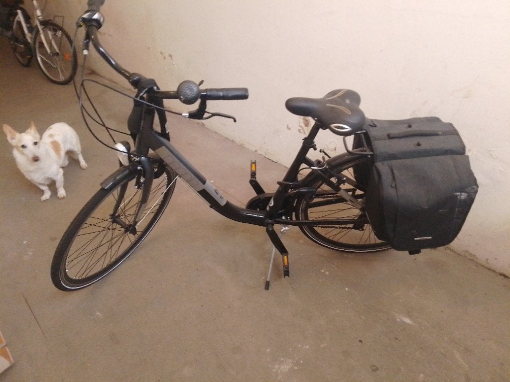 Vélo de ville femme Liège Laveu, Vitesses, Frein sur jante, Enlèvement, Utilisé