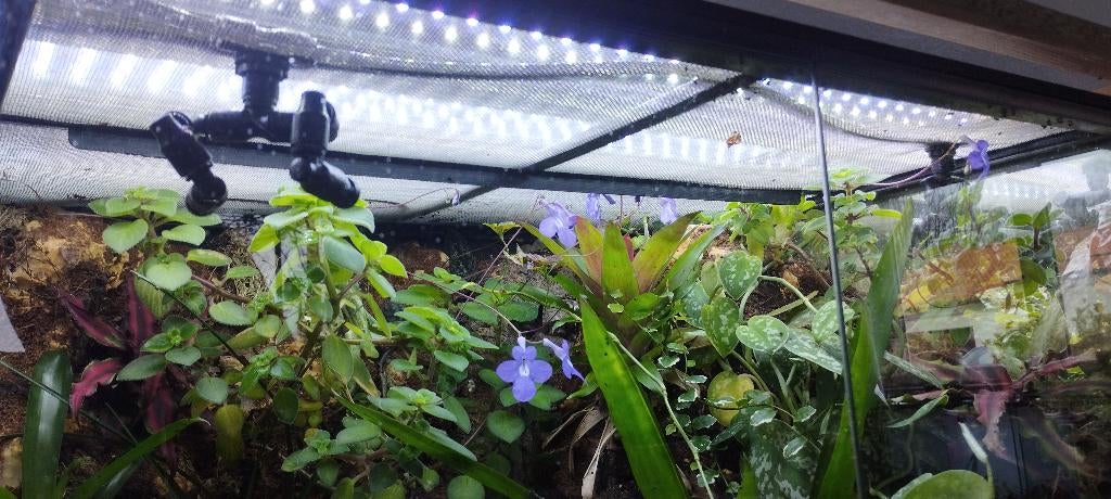 terrarium/paludarium/aquarium verlichting LED (90cm/120cm), Ophalen, Zo goed als nieuw, Verlichting