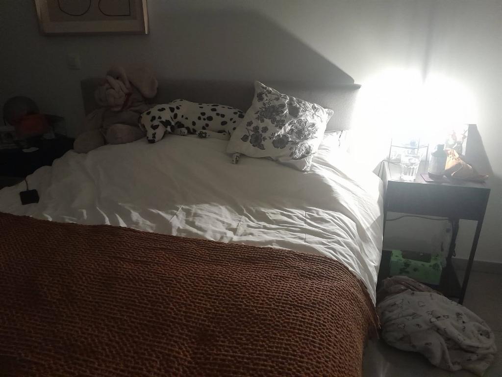 Appartement, 50 m² ou plus, Bruxelles