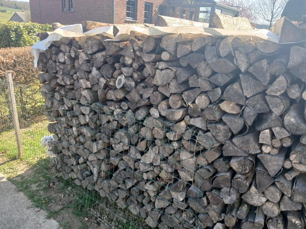 Bois de chauffage, 6 m³ of meer, Ophalen, Beukenhout, Blokken