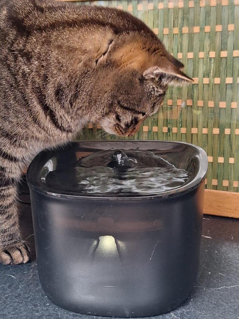 Drinkfontein hond/kat - Pettadore Hydrate Lite 2L, Ophalen, Automatisch, Gebruikt