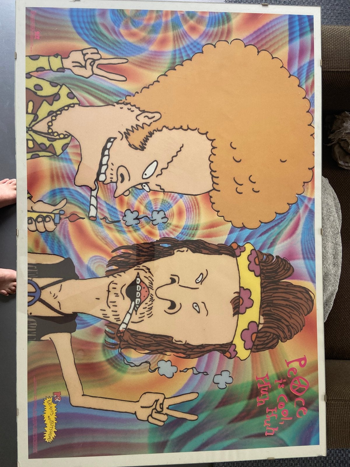 Poster MTV Beavis and Butthead, Ophalen