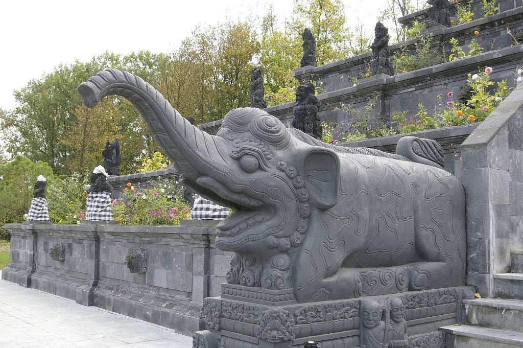6 billets Pairi Daiza