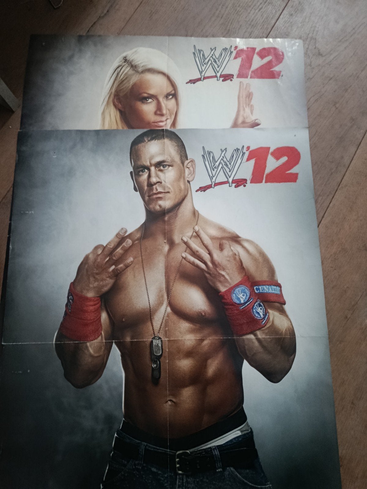 posters, Ophalen of Verzenden