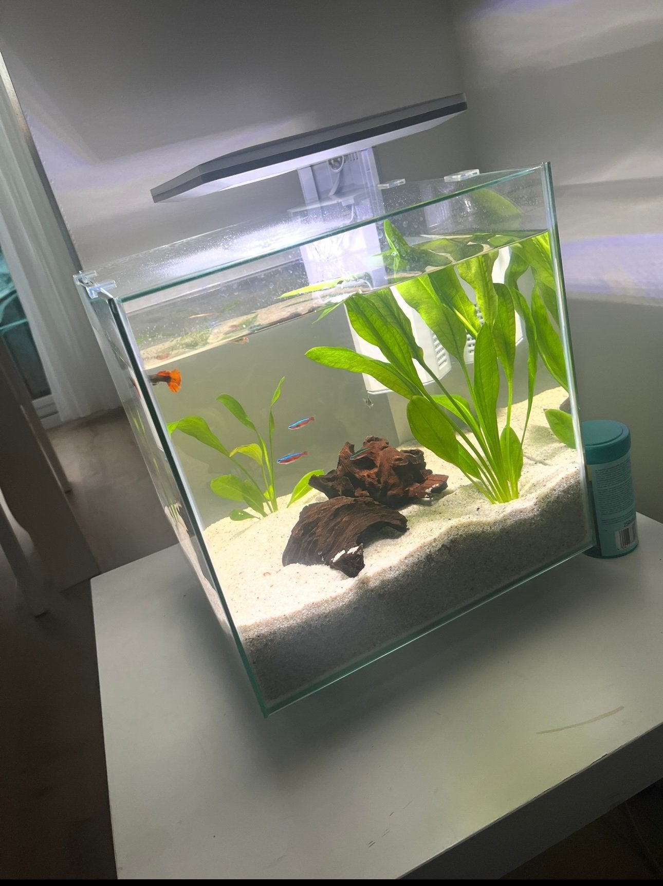 Aquarium, Ophalen of Verzenden, Zo goed als nieuw, Leeg aquarium, Inclusief deksel