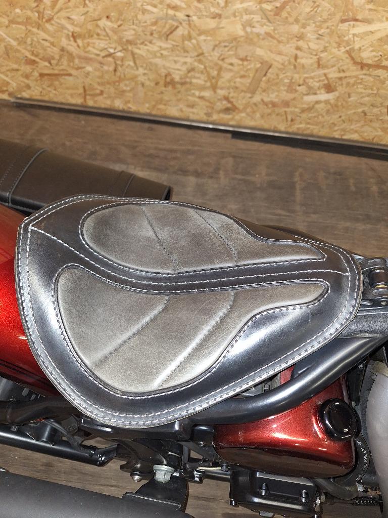 Harley davidson twincam, Motoren, Motoren | Harley-Davidson, Particulier, Nieuw, Ophalen