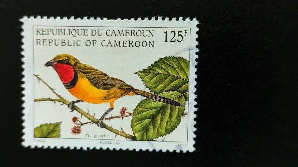 Cameroun 1998 - oiseaux, Envoi, Autres pays, Affranchi