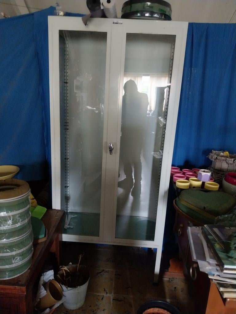 Oude dokterskast, Enlèvement