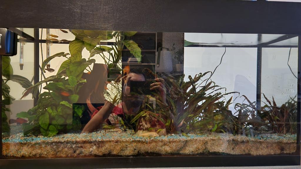 Aquarium van 120 liter met al zijn inhoud, Ophalen, Sera, Inclusief vissen, Gevuld zoetwateraquarium