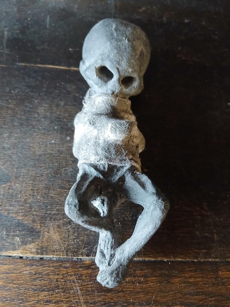 Versteende Foetus/ Occulte, Antiek en Kunst, Curiosa en Brocante, Ophalen of Verzenden