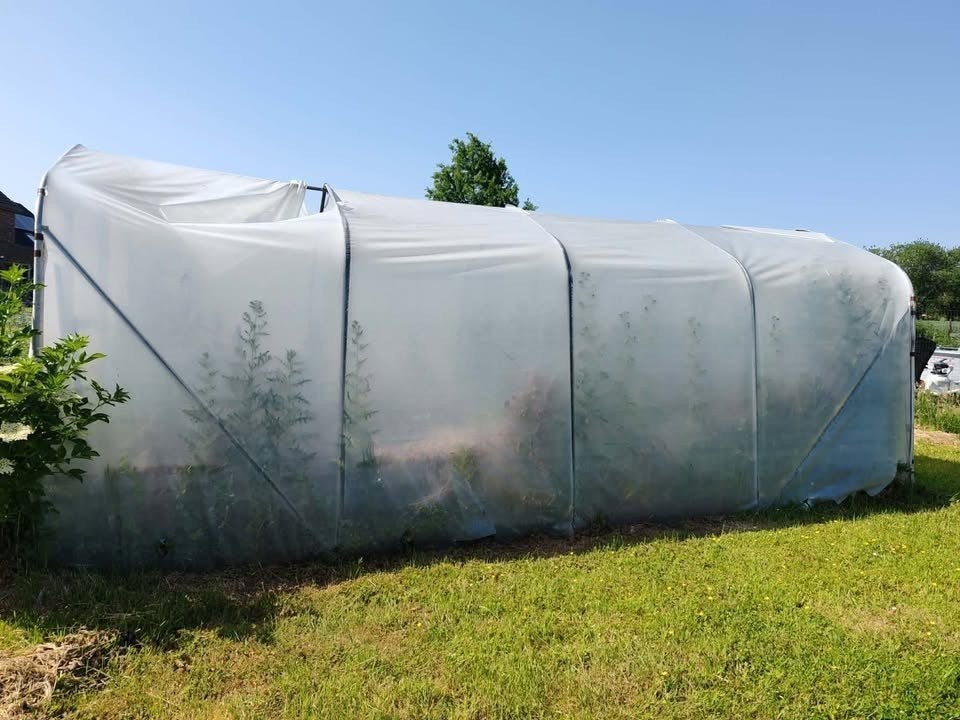 Tunnelserre, Jardin & Terrasse, Serres, Utilisé, Serre, Acier, Autres matériaux, Enlèvement