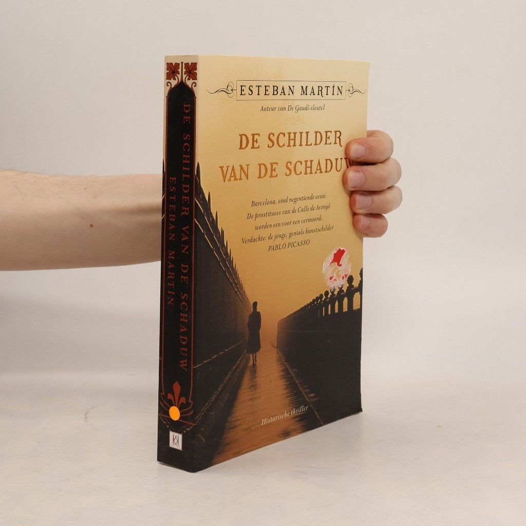 ESTEBAN MARTIN - DE SCHILDER VAN DE SCHADUW - 2009, ESTEBAN MARTIN, Comme neuf, Enlèvement, Europe autre