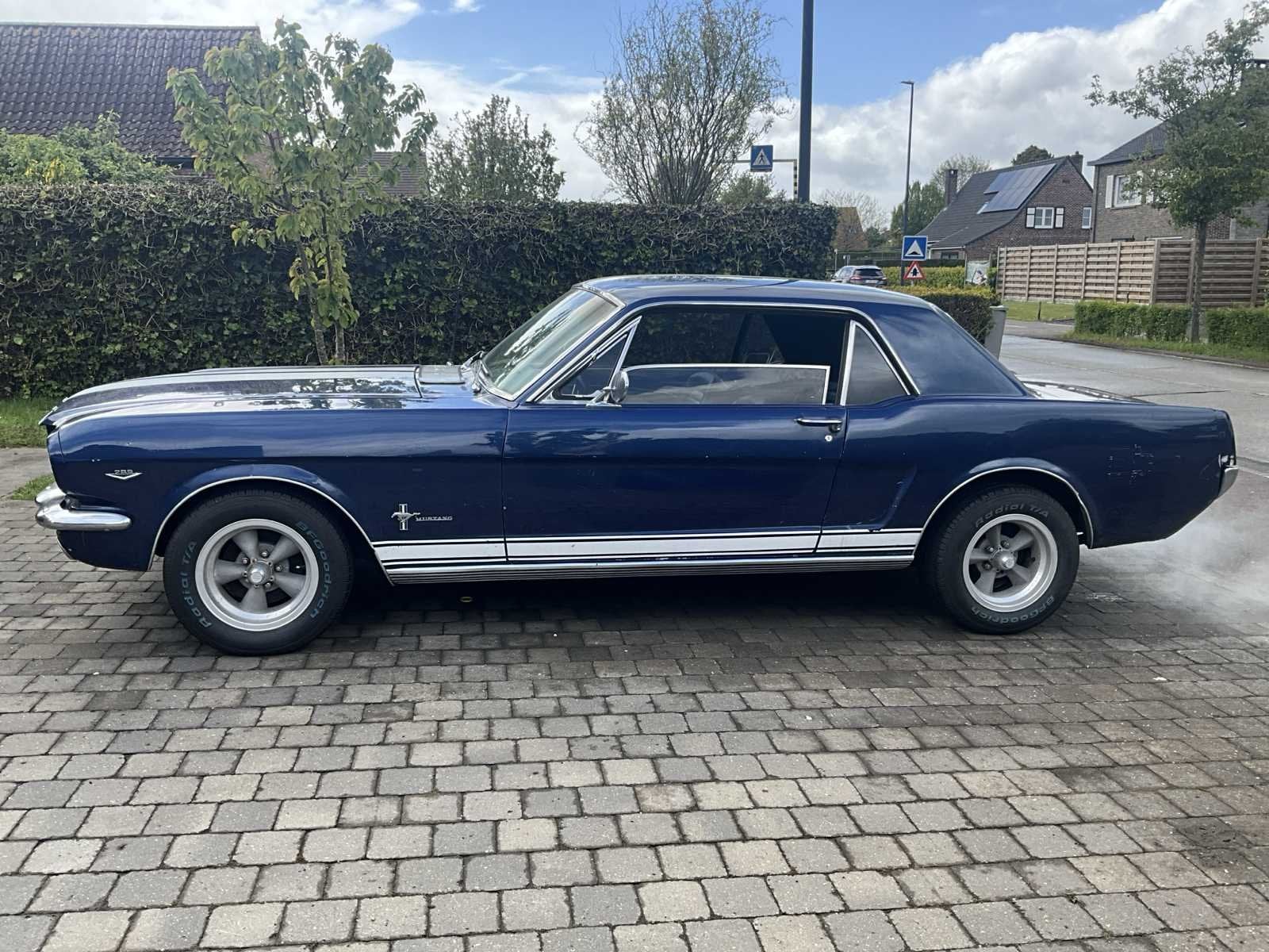 Ford mustang - 1966 - gekeurd voor verkoop, Auto's, Bedrijf, Overige carrosserie, Ford, Te koop