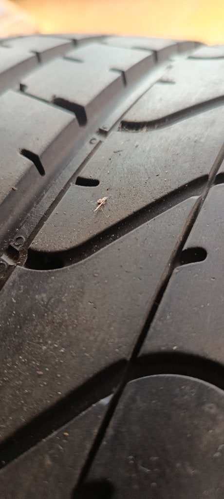 Pirelli p zero een band te koop 285/35/20 285/35 r20, Auto-onderdelen, Banden en Velgen, Ophalen, Gebruikt, 285 mm, Band(en)