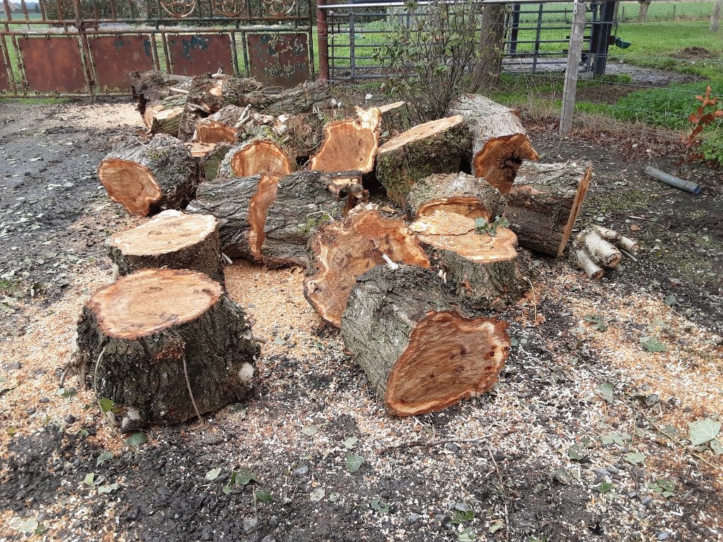 Gezaagde boomstammen, Tuin en Terras, 3 tot 6 m³, Ophalen, Overige houtsoorten, Blokken