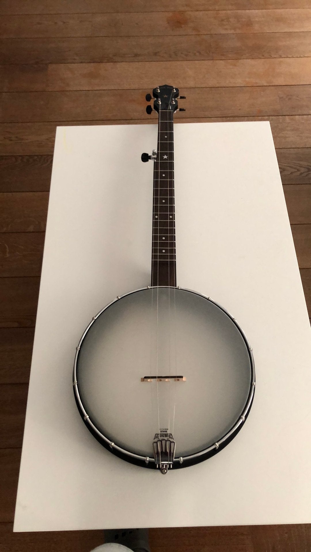 Banjo Gold Tone AC-12 5string, Muziek en Instrumenten, Ophalen, Zo goed als nieuw