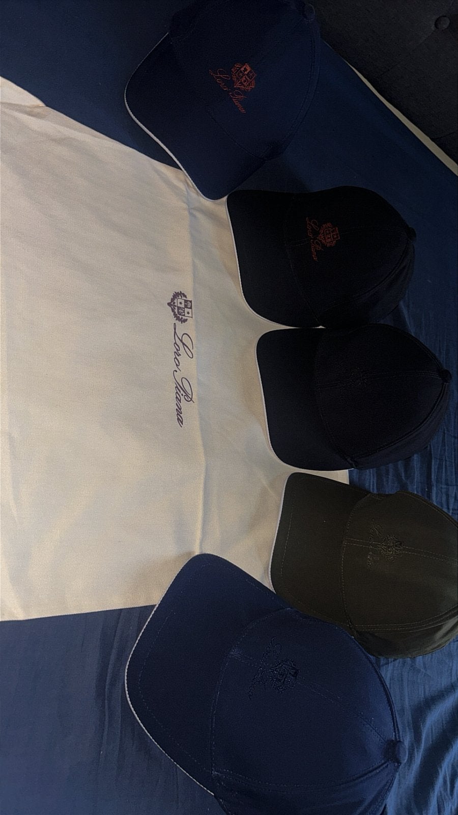 Loro piana Pet, Ophalen, Nieuw, Pet