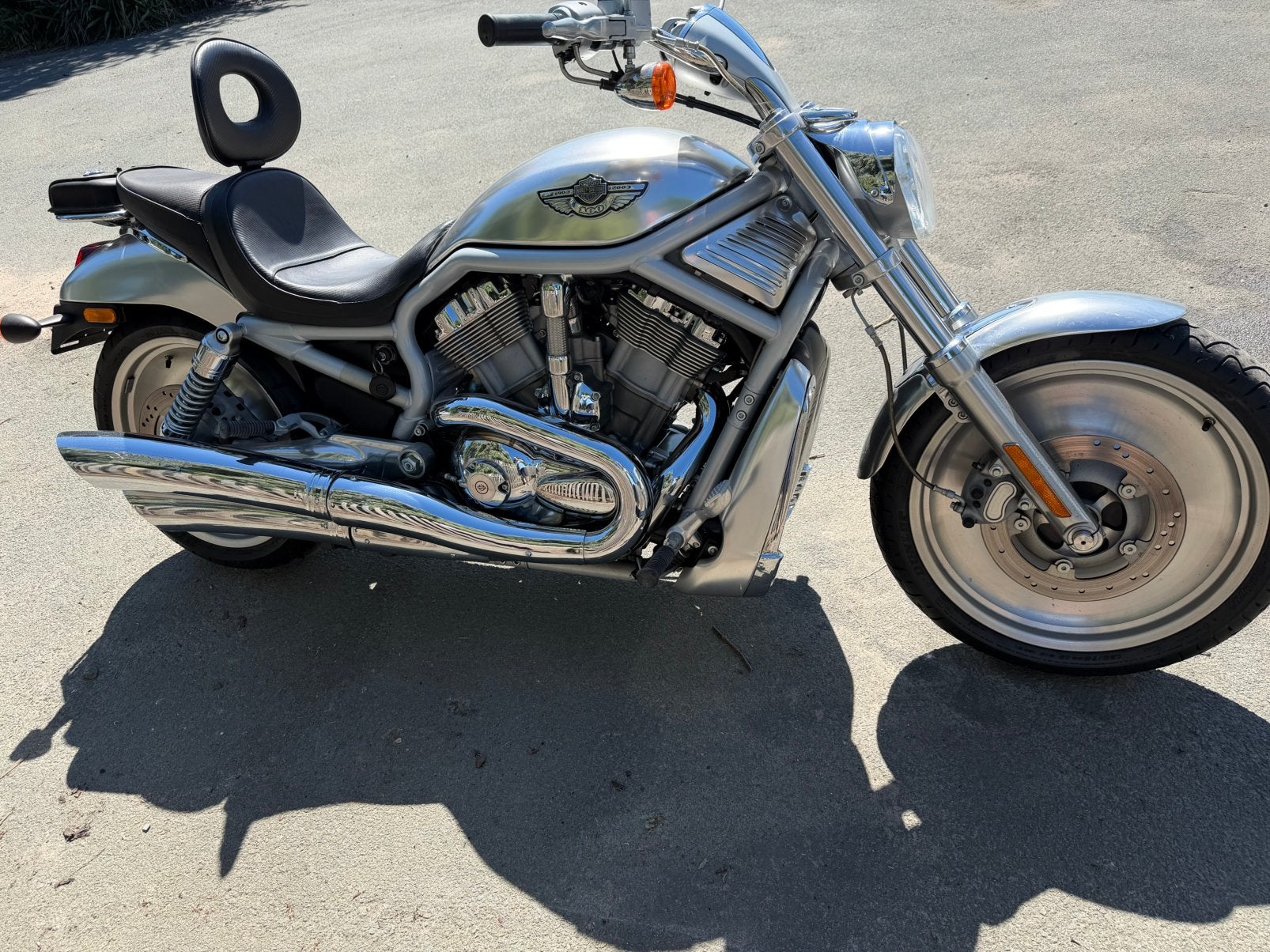 Harley davidson v rod, Motos, Motos | Harley-Davidson, Entreprise, Chopper, Neuf, 1200 cm³