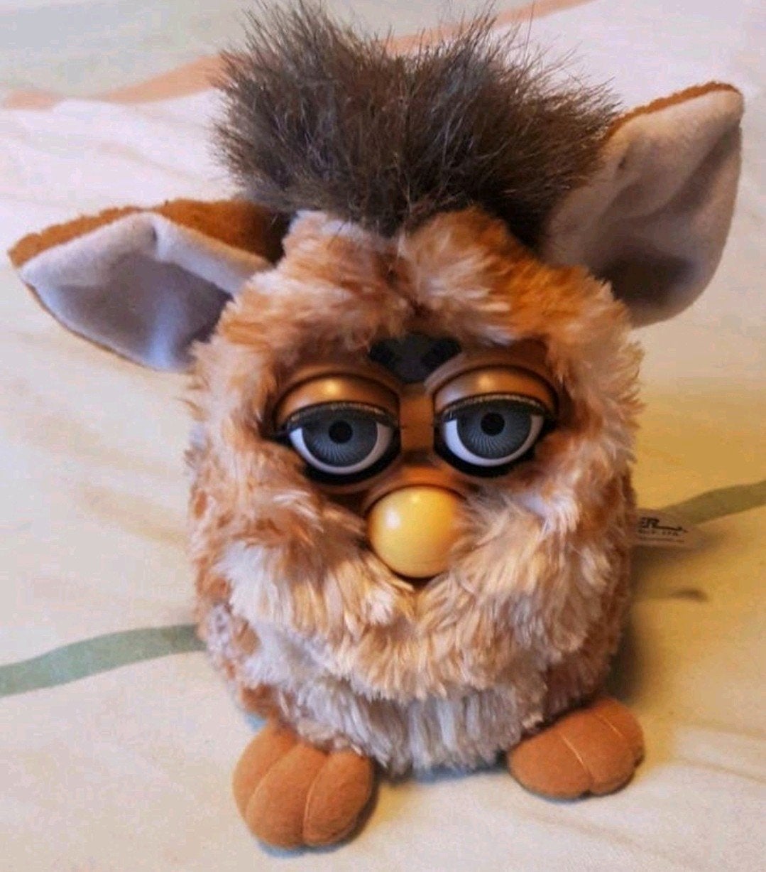 Vieux furby, Enlèvement