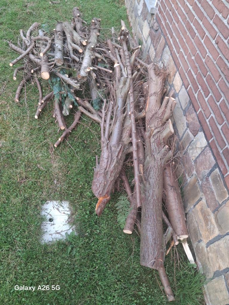 Gratis brandhout, Enlèvement