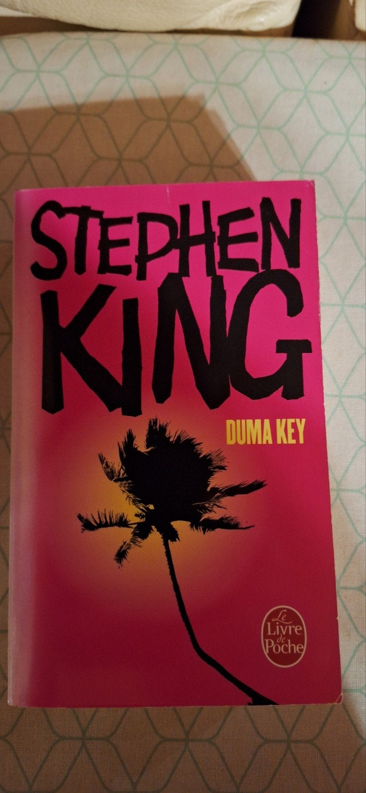 Duma Key, Livres, Aventure & Action, Enlèvement