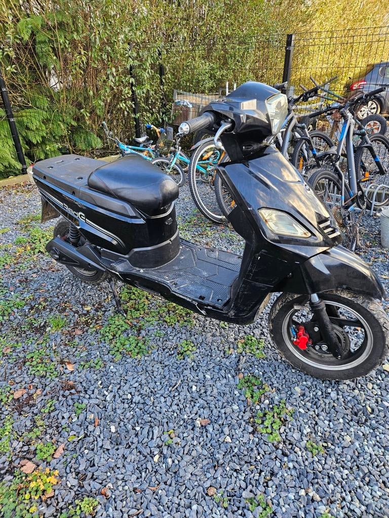 Scooter électrique Red E Pro 2019, Autres marques, Enlèvement, Utilisé, Électrique
