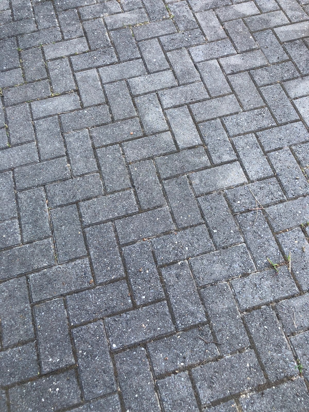 * Klinckers (pavés béton) gratuits (35 m2) *, Béton, Enlèvement, Utilisé, Autres types