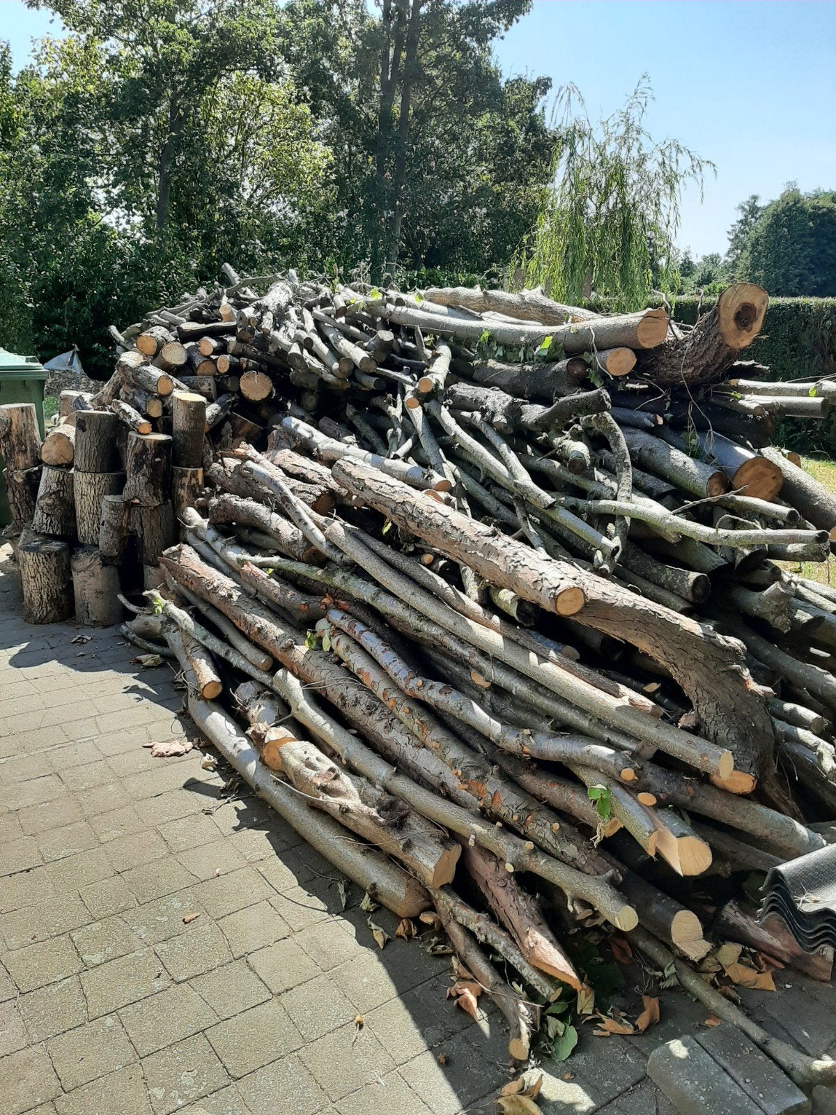 Brandhout., Tuin en Terras, Ophalen, Takken