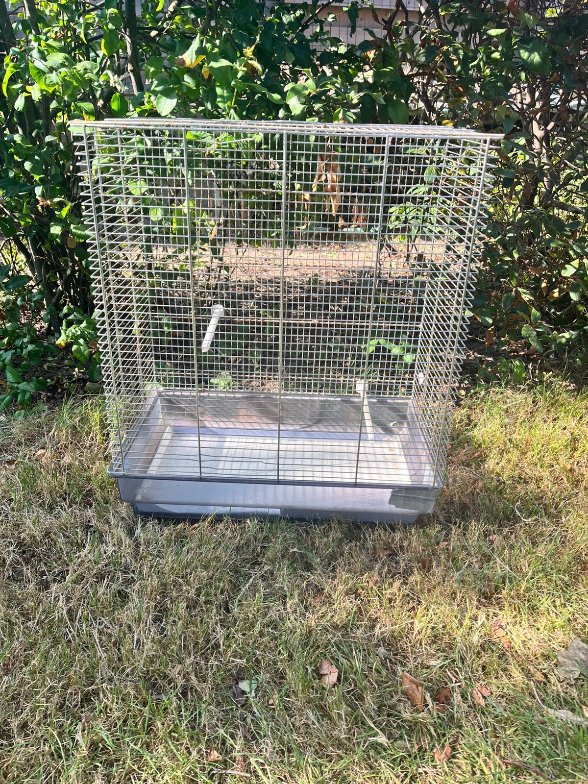 GRATIS Vogelkooi, Enlèvement, Utilisé, Cage à oiseaux