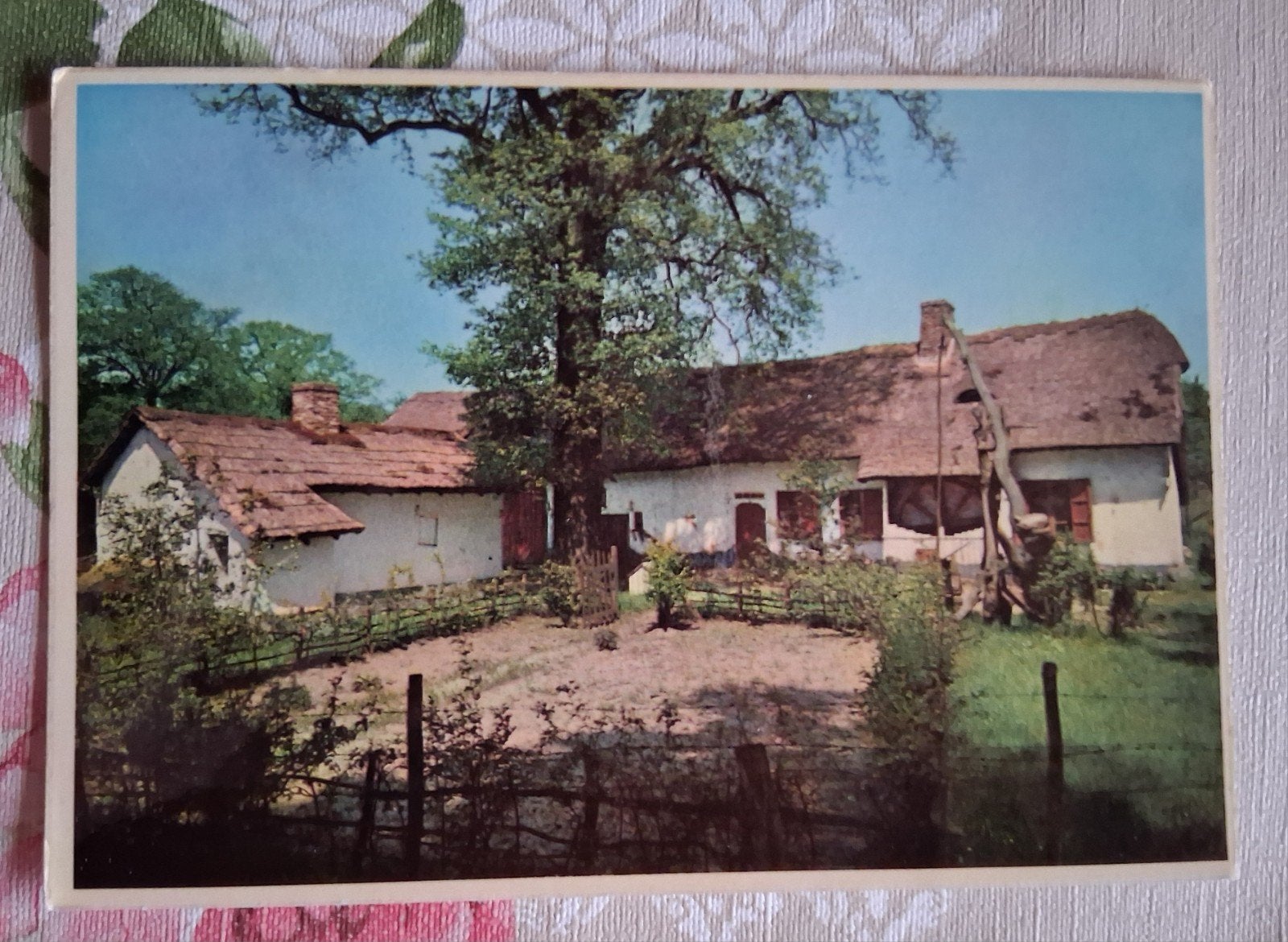 postkaart Kempische hoeve uit Lummen, Bokrijk, Ophalen of Verzenden