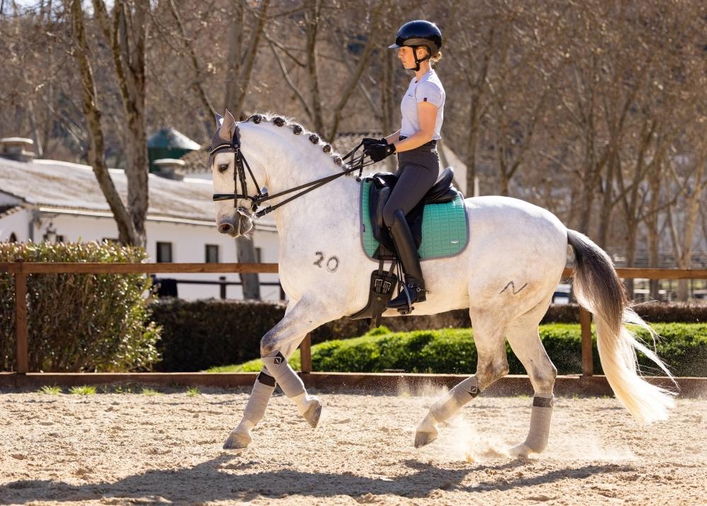 LeMieux Self-Cool Mesh dressuur dekje Spearmint SALE -56%!!!, Animaux & Accessoires, Chevaux & Poneys | Couvertures & Couvre-reins
