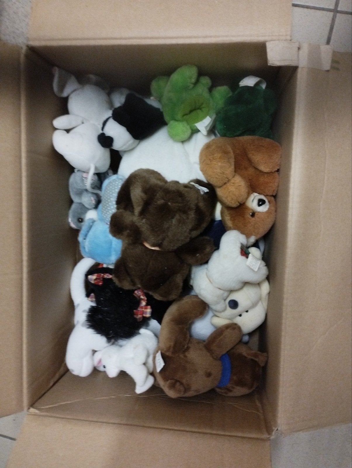 een doos vol knuffel dieren al verschillende kleur verschill, Ophalen