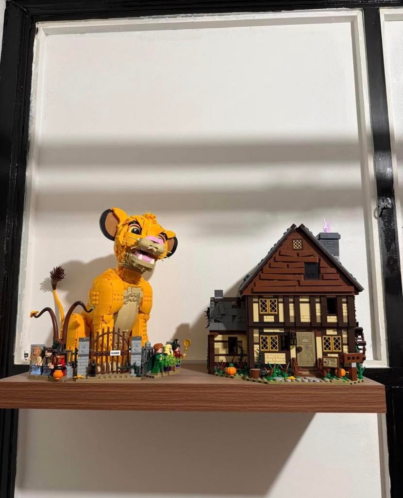 Le roi lion et Hocus Pocus Lego à vendre., Enlèvement, Lego