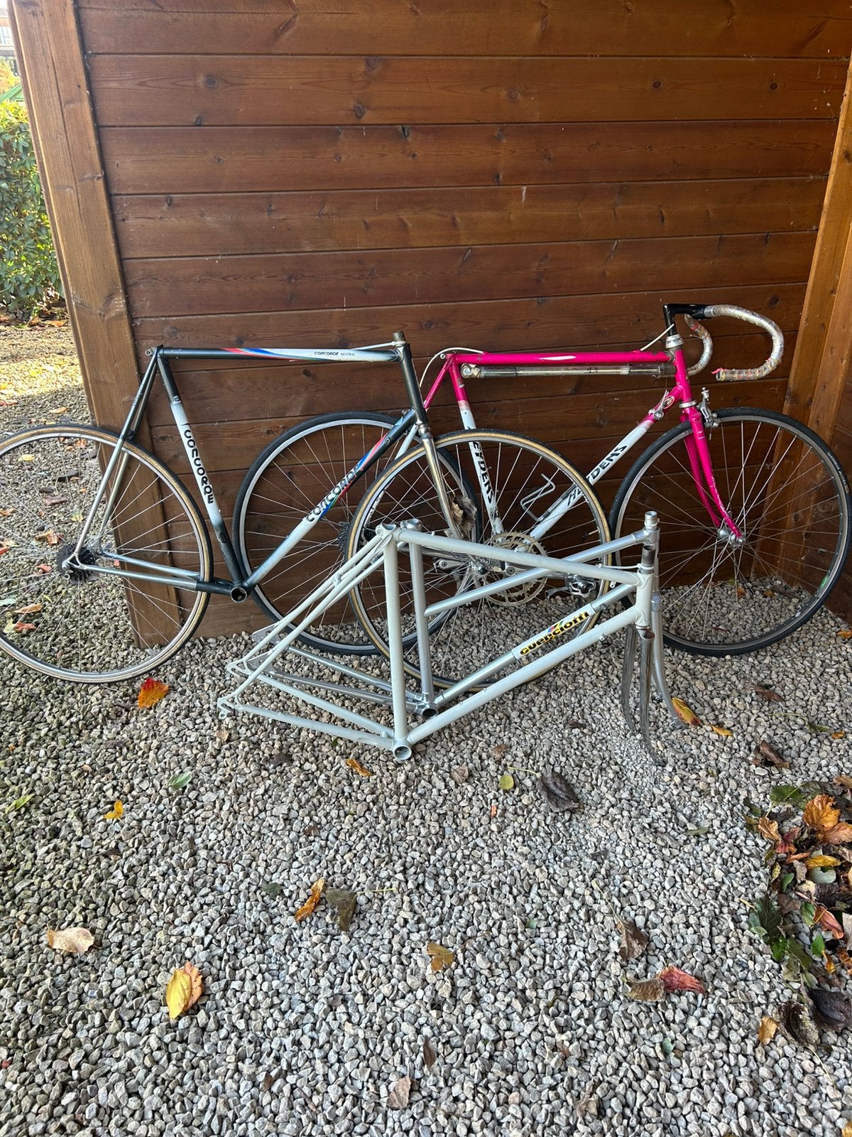 Lot retro fietsen/frames, Enlèvement, Comme neuf