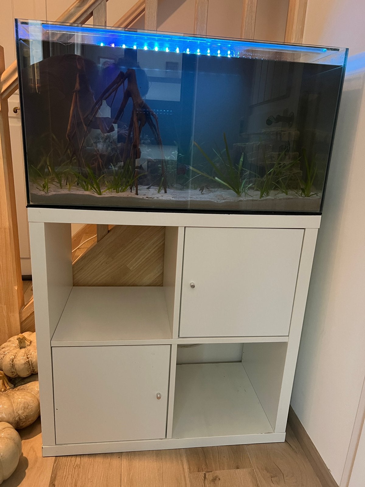 Op maat gemaakt aquarium 120l + kast, Animaux & Accessoires, Enlèvement, Couvercle inclus, Utilisé, Aquarium d'eau douce rempli