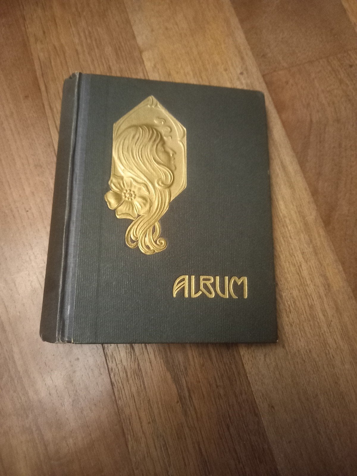 Antiek foto-album, Antiek en Kunst, Ophalen of Verzenden