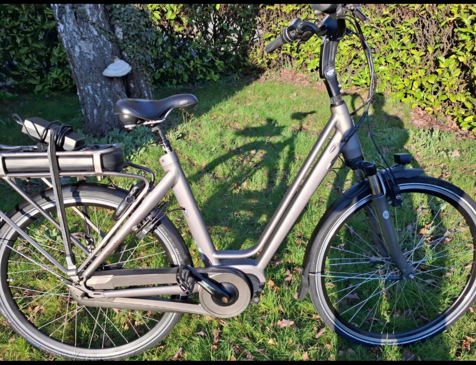 ️ Button Cycle Satori EZ3 | Bafang middenmotor | Riem |
