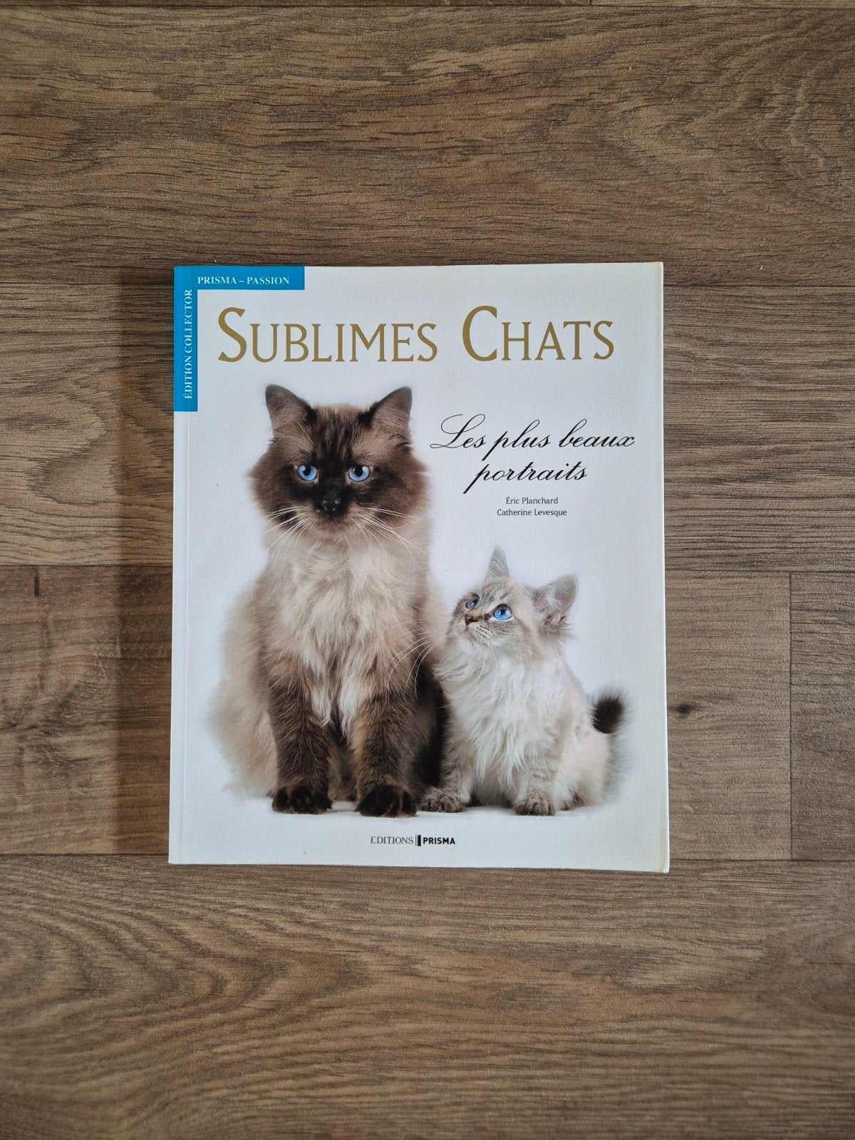 Sublimes chats 🐈  🐈, Livres, Animaux & Animaux domestiques, Enlèvement ou Envoi, Neuf, Chats, Catherine levesque