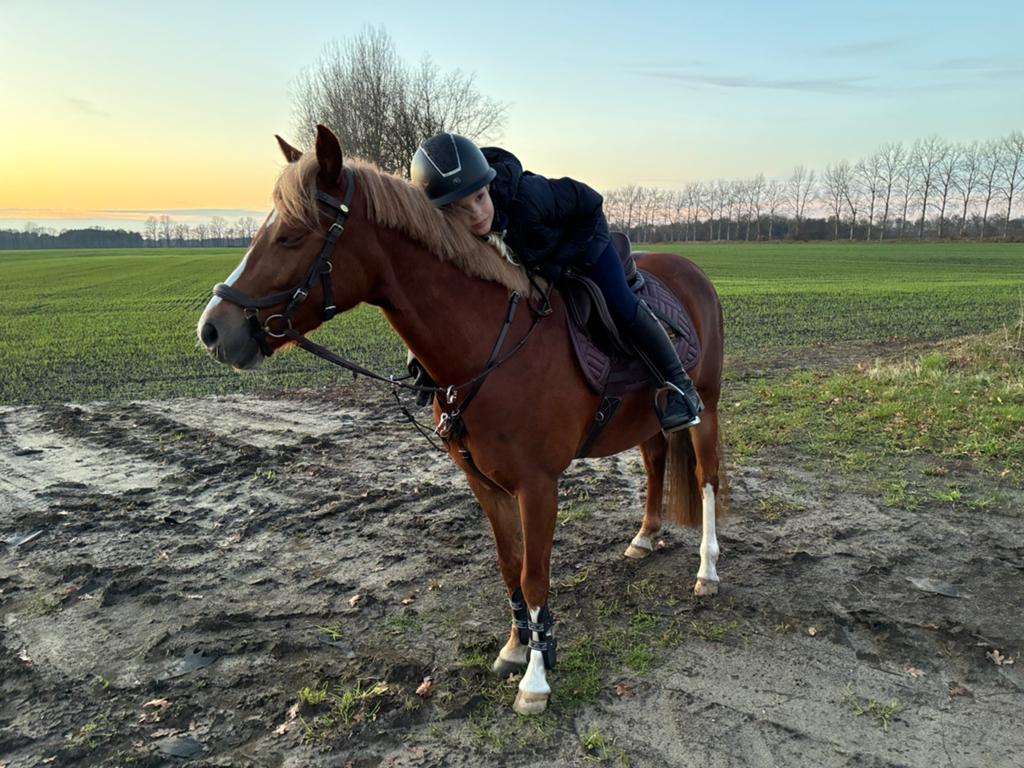 Lease pony gezocht, Animaux & Accessoires, Poneys