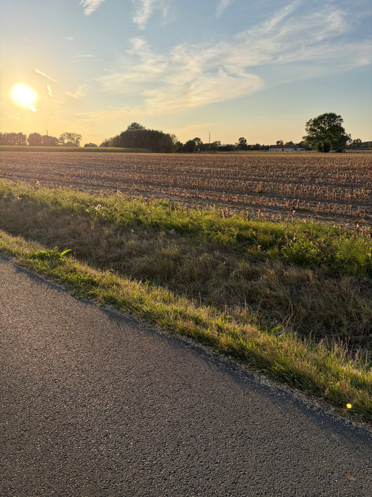 Landbouwgrond gezocht - pacht / seizoenspacht, Zakelijke goederen, Landbouw | Onroerend goed, Ophalen of Verzenden, Akkerbouwbedrijf
