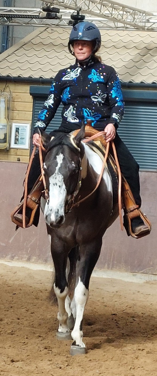 Prachtige Paint Horse Ruin. 6 jaar, Hongre