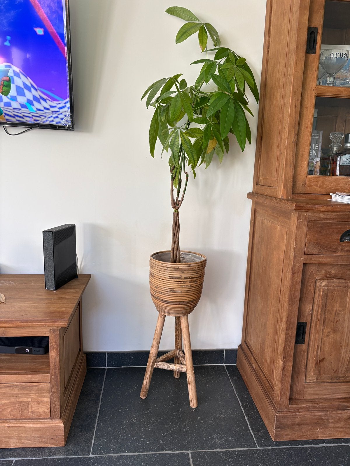 Kamerplant, Ophalen
