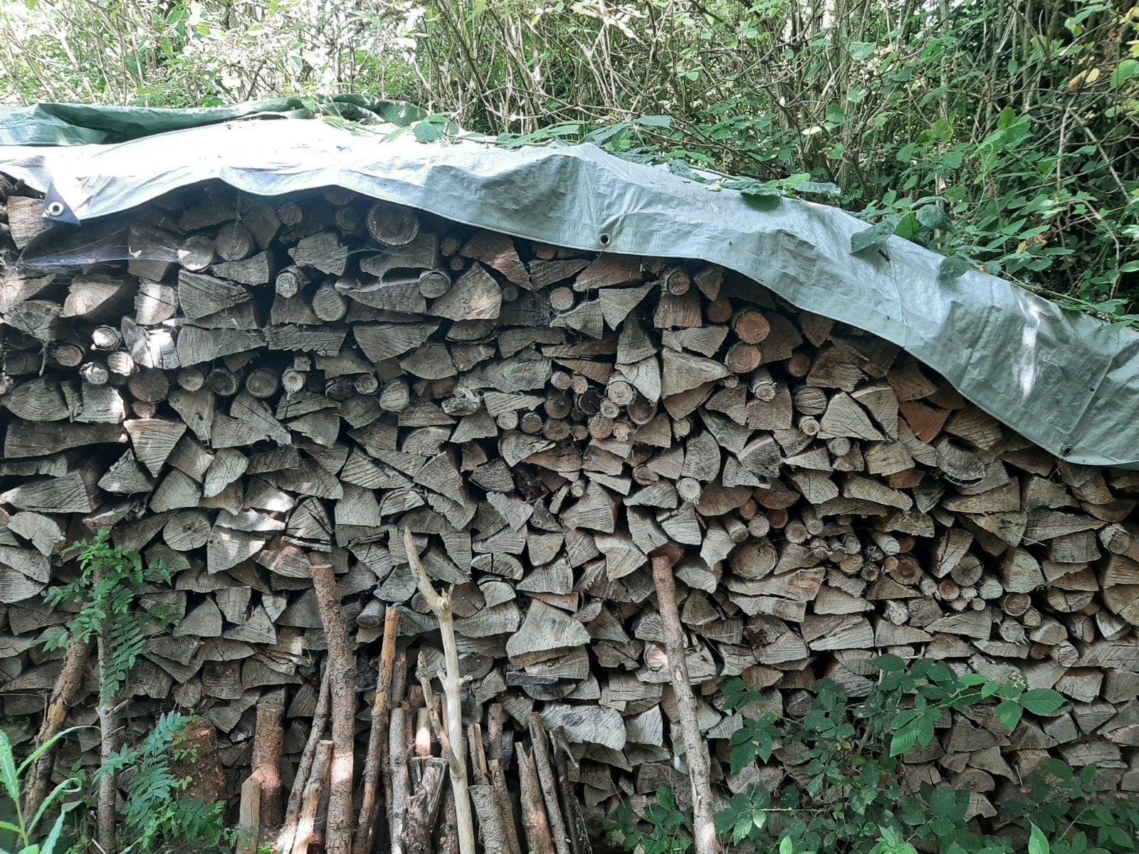 droog brandhout van sparrebomen, Enlèvement ou Envoi