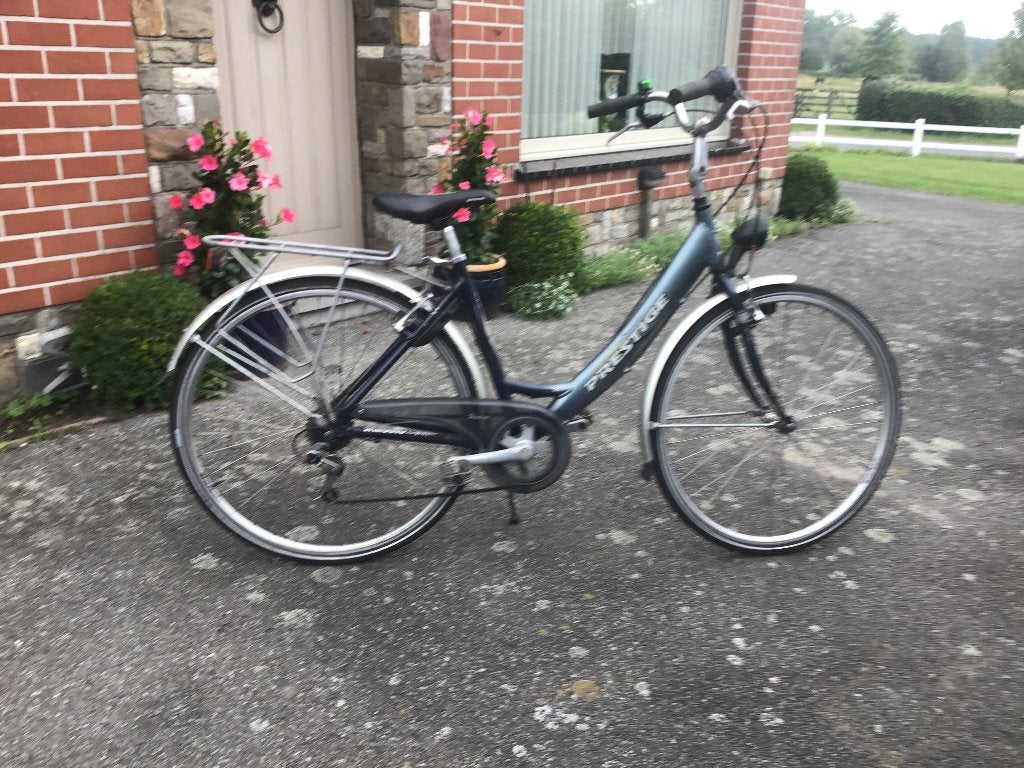 Damesfiets volledig in orde, 50 tot 53 cm, Ophalen, Gebruikt, Overige merken