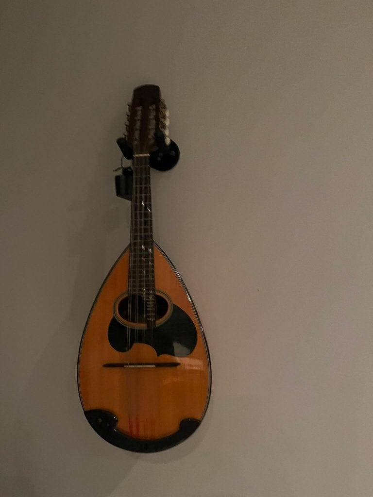 Mandoline 8-snarig in uitstekende staat, Musique & Instruments, Instruments à corde | Mandolines, Enlèvement