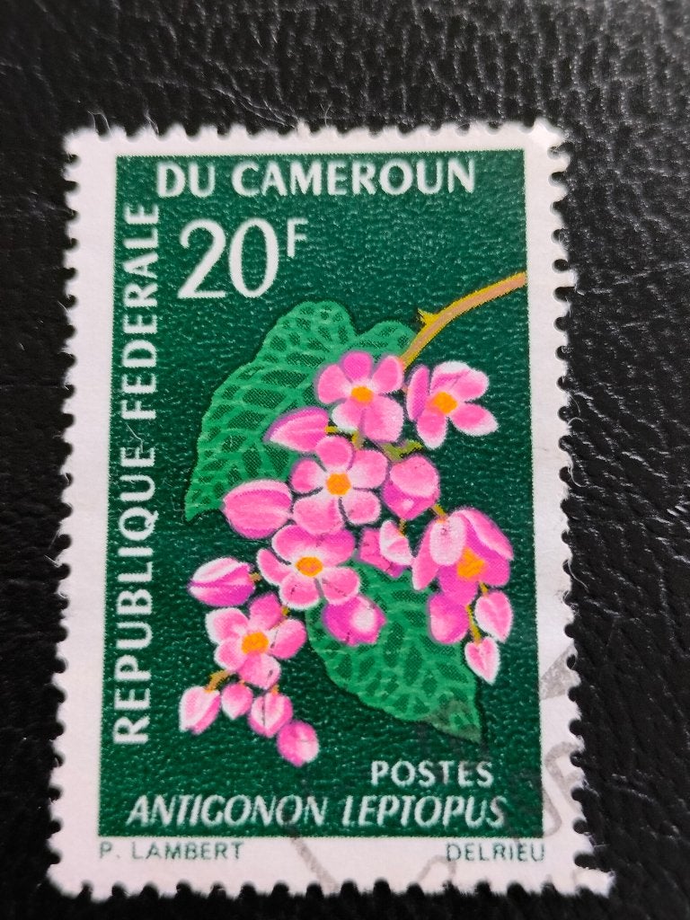 Cameroun 1966 - fleurs, flore, Envoi, Autres pays, Affranchi
