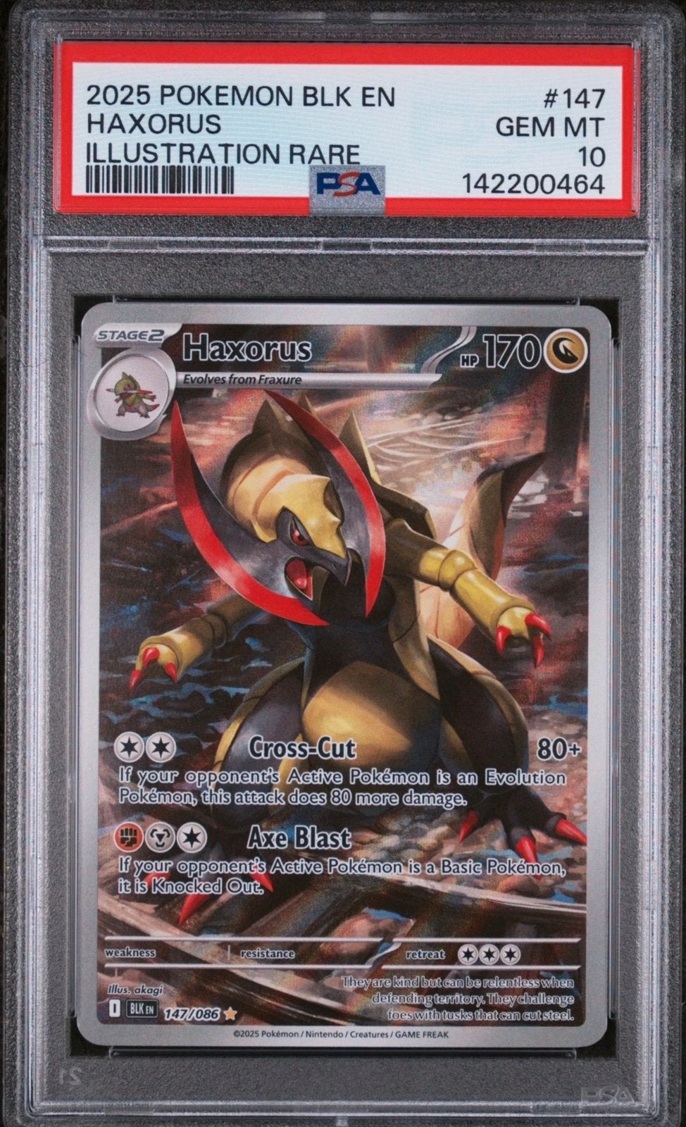 Haxorus PSA 10, Enlèvement ou Envoi, Neuf