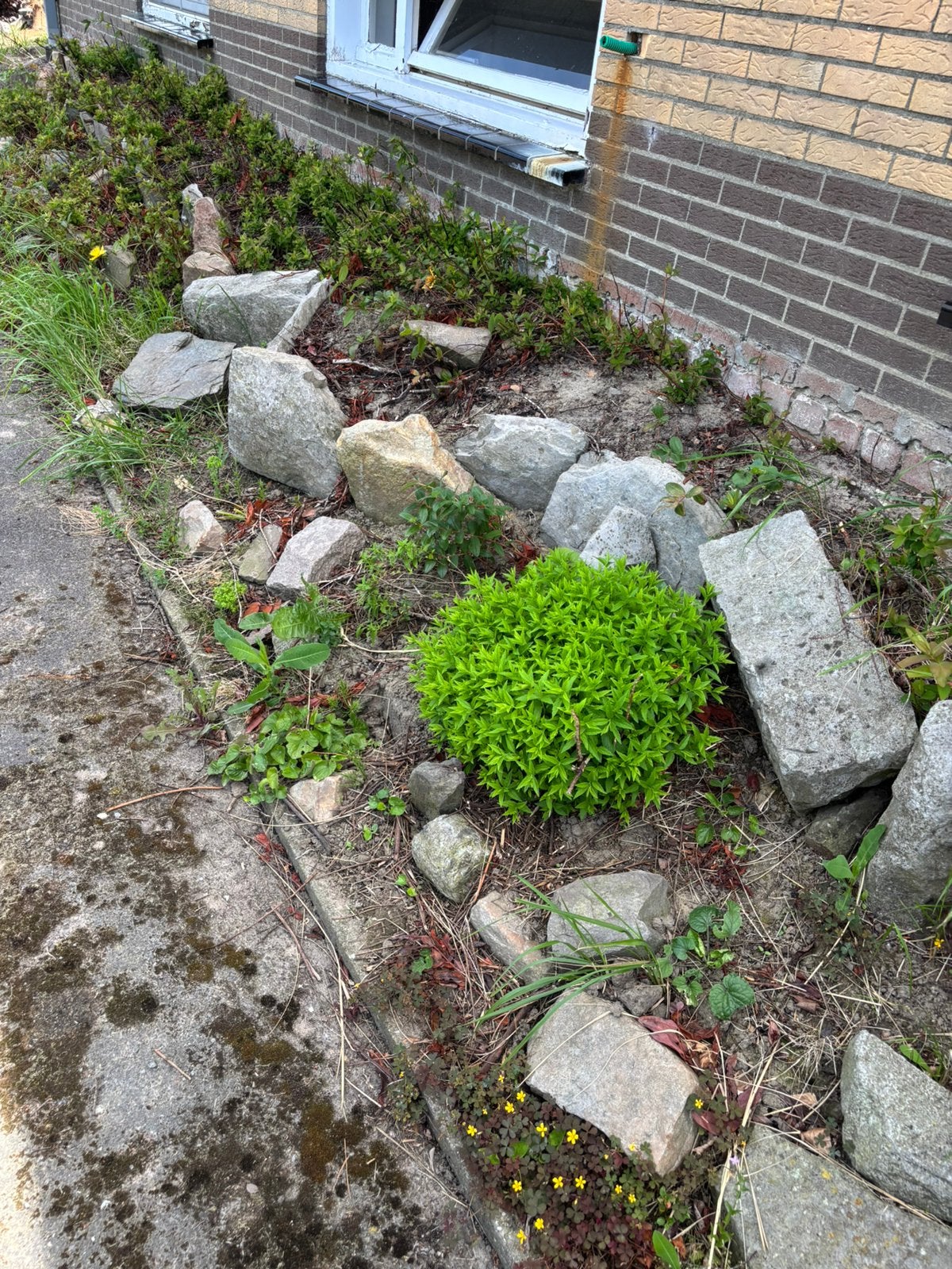 Gratis rotsstenen, Tuin en Terras, Ophalen, Zo goed als nieuw